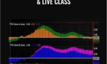 ABC Waves TOS Indicator & Live Class – Simpler Options