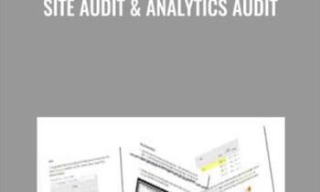 Site Audit & Analytics Audit - Annielytics