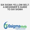 Six Sigma Yellow Belt: A Beginner’s Guide to Six Sigma