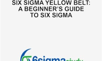 Six Sigma Yellow Belt: A Beginner’s Guide to Six Sigma