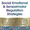 Social Emotional & Sensorimotor Regulation Strategies: Holistic Approaches for Anxiety, Autism, Sensory Disorders, ADHD, Developmental Disorders, Down Syndrome and Cerebral Palsy - Kathee Cammisa