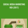 Social Media Marketing ROI (2017) - Luan Wise