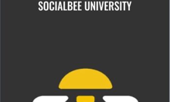 SocialBee University – SocialBee