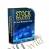 Stock Strategy #4 – Steve Primo