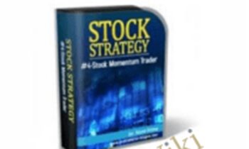 Stock Strategy #4 – Steve Primo