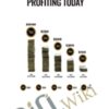 Stop Guessing and Start Profiting Today – eCom Conversions