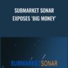 Submarket Sonar Exposes ‘Big Money’ - Raghee Horner