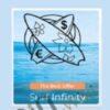 Surfing The Pips : Surf Infinity – Davide Franceschini