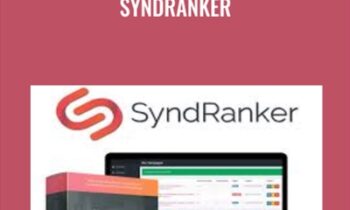 SyndRanker