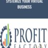 Systemize Your Virtual Business - Tim Francis
