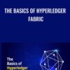 The Basics of Hyperledger Fabric - Toshendra Sharma