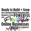 The Digital Gangsta - Julie Stoian