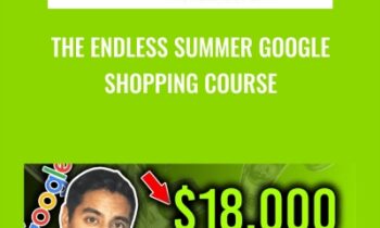 The Endless Summer Google Shopping Course - Sharad Thaper