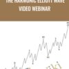 The Harmonic Elliott Wave Video Webinar - Anonymous