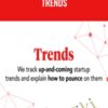 Trends – The Hustle