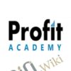 The Profit Academy 2015 – Anik Singal