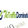 The Traffic Dominator – Greg Cesar