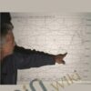 Time Factor DVD Course  – William McLaren
