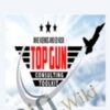 Top Gun Consulting - Mike Koenigs