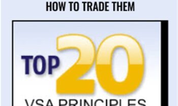 Top 20 VSA Principles & How to Trade Them - TradeGuider