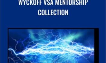 Wyckoff VSA Mentorship Collection – Tradeguider
