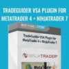 Tradeguider VSA Plugin For Metatrader 4 + Ninjatrader 7 - Ninjatrader