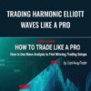 Trading Harmonic Elliott Waves like a PRO – CastAway Trader