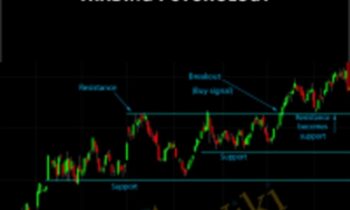Trading Like a Pro – Trading Psychology – Tradimo