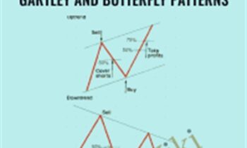Trading Live Online Traders Toolbox For The Abcd, Gartley And Butterfly Patterns - Trading Live Online
