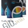 Traffic Fusion – Precious Ngwu