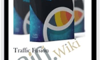 Traffic Fusion – Precious Ngwu