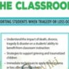 Trauma, Grief and Loss in the Classroom: Supporting Students When Tragedy of Loss Occurs - John Bearoff