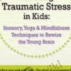 Treating Traumatic Stress in Kids: Sensory, Yoga & Mindfulness Techniques to Rewire the Young Brain - Victoria Grinman