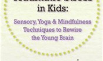 Treating Traumatic Stress in Kids: Sensory, Yoga & Mindfulness Techniques to Rewire the Young Brain - Victoria Grinman