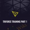 Triforce Training Part 1