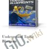 Underground Traffic Blueprint - Neil Stafford