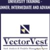 University Training - Beginner, Intermediate and Advance - VectorVest