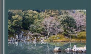 Vibrational Congruency - Lynn Waldrop