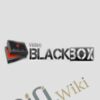 Video Black Box – Frank Kern