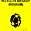 What Really is Blockchain? (For Dummies) - Saad Tariq Hameed