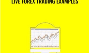 Winning Forex Trading with Live Forex Trading Examples - Saad Tariq Hameed
