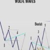 Wolfe Waves - Bill Wolfe