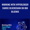 Working With Hyperledger Fabric Blockchain on IBM Bluemix - Toshendra Sharma