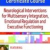 2-Day Self-Regulation Certificate Course: Neurological Interventions for Multisensory Integration, Emotional Regulation and Executive Functioning - Varleisha D. Gibbs