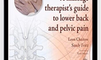 A massage therapist's guide to lower back and pelvic pain - Sandy Fritz