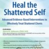 2-Day Course: Heal the Shattered Self: Advanced Evidence-Based Interventions to Effectively Treat Shattered Clients - Steve A Johnson