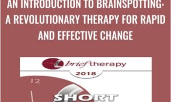 An Introduction to Brainspotting: A Revolutionary Therapy for Rapid and Effective Change - Susan Pinco