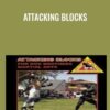 Attacking Blocks - Dog Brothers
