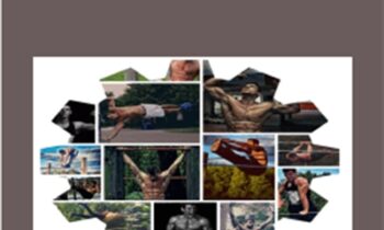 The System - Calisthenics - Bar Brothers
