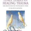 Three Stages of Healing Trauma - Belleruth Naparstek